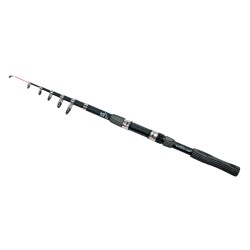 Lanseta Wind Blade 3002, EPOXY (R), C.W: 40-120g, Sectiuni: 2, Lungime: 3.0m, pescuit sportiv, ideal pentru crap